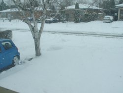 Snow in front yard